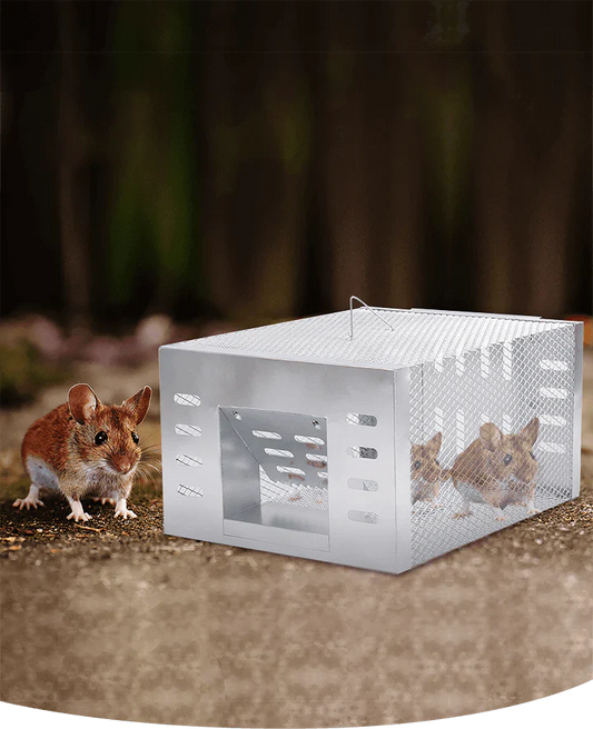 Automatická past na myši s nepřetržitým cyklem 3