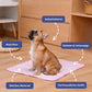 Psi se v létě snadno přehřívají a mohou trpět dehydratací – vyřešte tento problém pomocí samochladicí podložky pro psy. Platba na dobírku! 🐶
