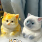 🎁Velikonoční propagace😻Roztomilá a měkká hračka ve tvaru kočky💕(zmírňuje stres)