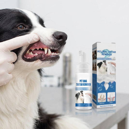 Zbavte zuby vašeho mazlíčka kamene bez kartáčování – prostředek na odstranění zubního kamene. Na dobírku! 🦷